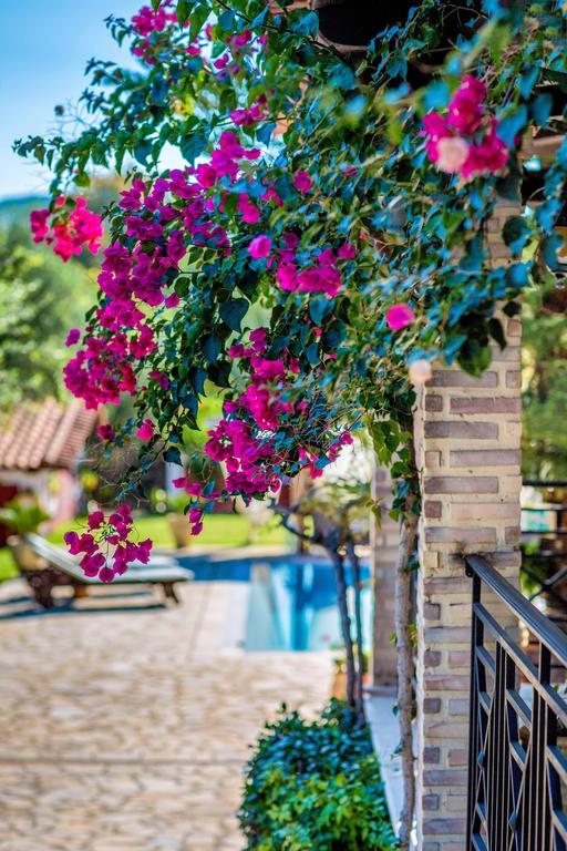 Elea Lithakia (Zakynthos)